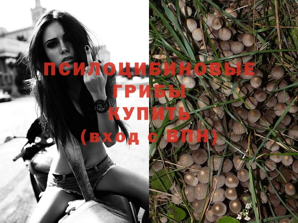 герыч Вязники