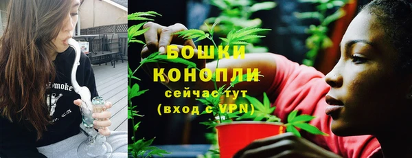 МДПВ Вязьма