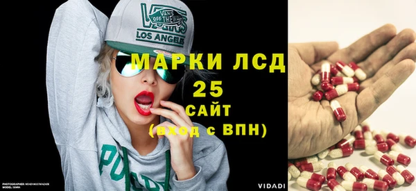 крисы Елабуга